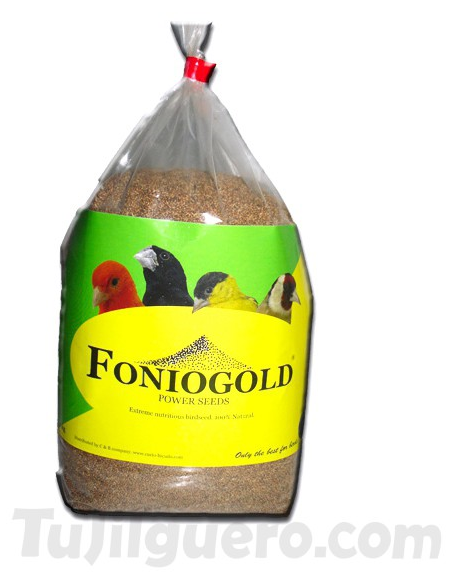 FONIOGOLD SEED KG