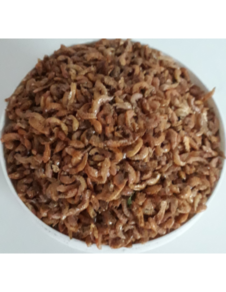 Hermetia larven (BSF) – 500 gram gedroogd